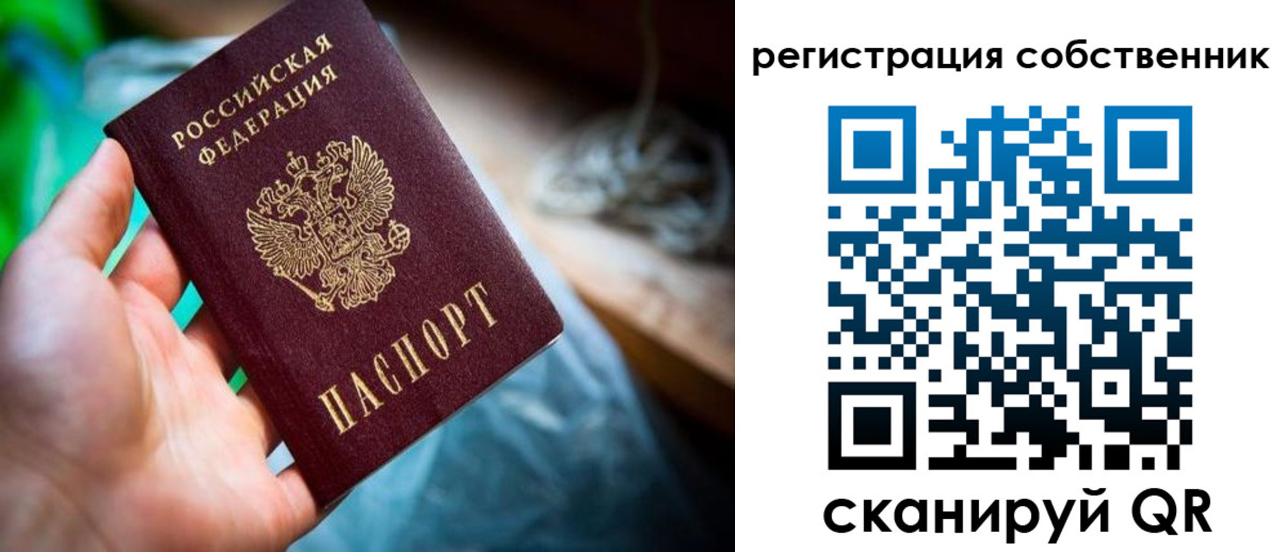 прописка гарантия в Куровском